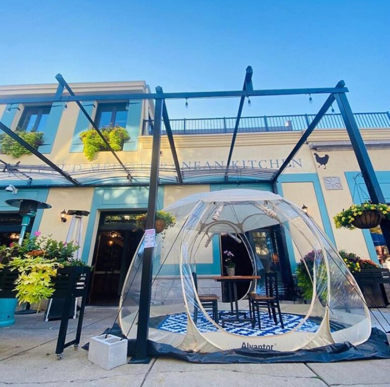 Chicago Igloos & Greenhouses 2020 Chicago Gen X Chicago Bars