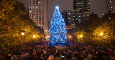 Chicago Christmas Tree Lighting