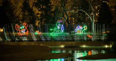 Lincoln Park Zoo Lights